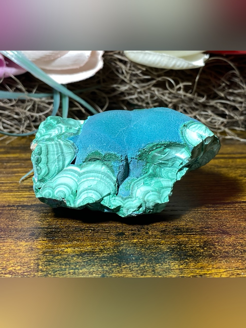 Large Botryoidal Malachite - Picture 3 of 16
